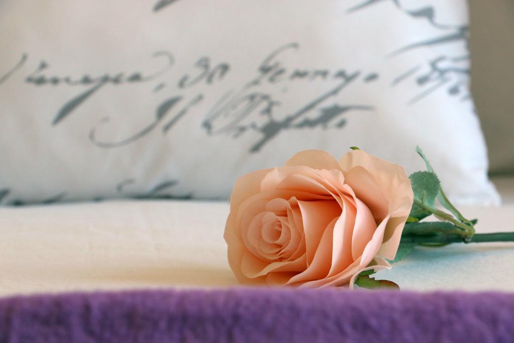 شقة Blue Rose تروغير المظهر الخارجي الصورة